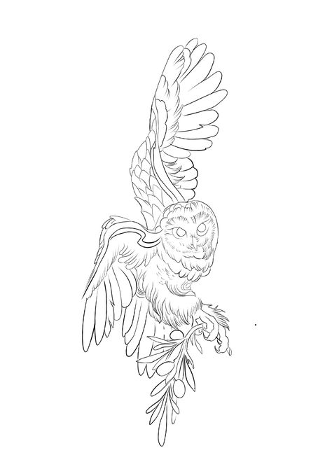 White Owl Tattoo, Owl Tattoo Meaning, Barn Owl Tattoo, Rockabilly Tattoos, Owl Sketch, Bee Artwork, Crazy Tattoos, Skeleton Drawings, Owl Tattoo Design