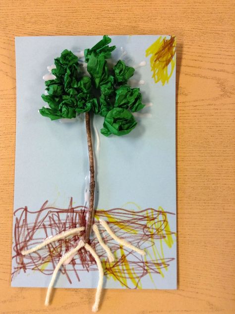 Laura's Little Learning Lab: Parts of a Tree Collage Sign Study Preschool, Parts Of A Tree Preschool, Creative Curriculum Preschool, Tree Collage, Plant Activities, Tree Day, Tree Study, Preschool Arts And Crafts, Creative Curriculum