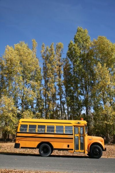 This is a 1979 GMC Blue Bird school bus that doubles as a vintage store and road-tripping DIY motorhome for British Columbia couple, Marco Khalil and Caroline West. Inside what seems to be an ordin… School Bus Camper, School Bus Tiny House, Backyard Cabin, Classroom Accessories, Old School Bus, Short Bus, Bus Living, School Bus Conversion, Bus House