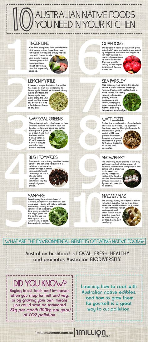 [INFOGRAPHIC] Top 10 Native Australian Foods You Need In Your Kitchen | 1 Million Women Australian Native Edible Plants, Australian Foraging, Foraging Australia, Aboriginal Recipes, Indigenous Cooking, Australian Native Garden Design, Aboriginal Food, Australian Foods, Australian Homestead