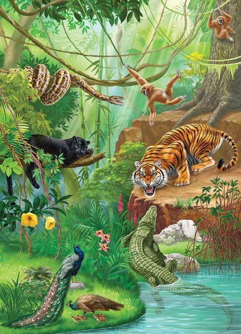 Animal Art Jungle Drawing, Indian Mythology, Jungle Scene, Jungle Illustration, Bollywood Posters, Jungle Art, Big Cats Art, Jungle Animal, Animal Coloring Books