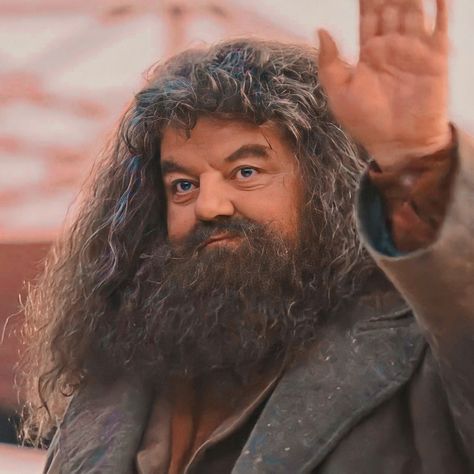 The Sorcerer's Stone Aesthetic, Harry Potter Aesthetic Hagrid, Harry Potter And The Philosophers Stone, Hagrid Aesthetic, Hagrid Harry Potter, Harry Potter Teachers, Harry Potter Professors, Robbie Coltrane, Rubeus Hagrid