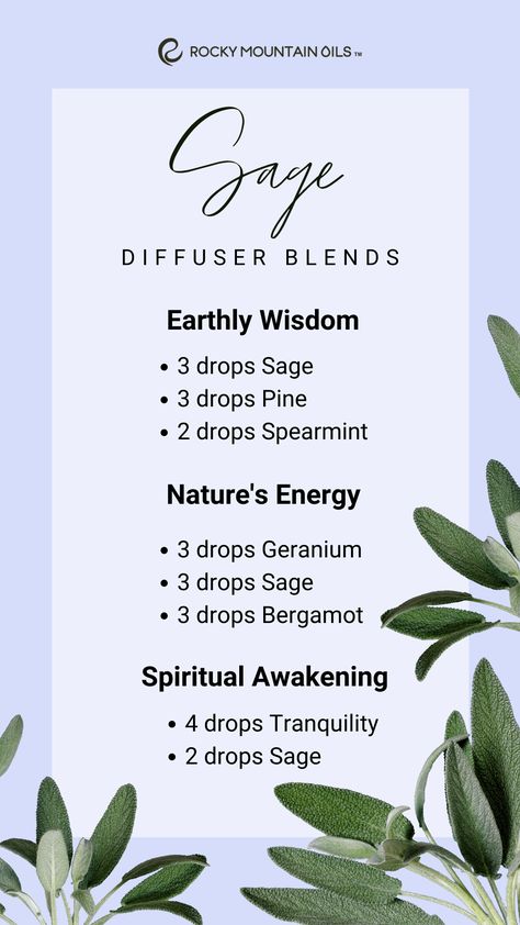 Dispel negative energy with the help of Sage. Many cultures believe that Sage offers a wide array of mental, physical, and spiritual benefits, and can promote wisdom, healing, and longevity. Try these three Sage diffuser blends in your space to experience greater peace today.  #rockymountainoils #blog #sage #sageessentialoil #oils #essentialoil #aromatherapy #holistic #blends #oilblends #oildiy #diy #diffuse #diffusion #natural #naturalhome #nontoxic #healthyhome #naturalliving #oildrops #scent Sage Oil Diffuser Blends, Spiritual Diffuser Blends, Sage Essential Oil Diffuser Blends, Sage Essential Oil Blends, Sage Diffuser Blends, Sage Essential Oil Benefits, Diffuser Scents, Essential Oil Starter Kit, Eo Blends