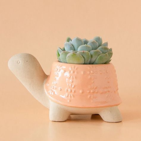 This adorable, ceramic turtle planter is sure to brighten your day! Cute Vases Ceramics, Clay Pot For Plants, Cacti Arrangement, Aesthetic Ceramics, Turtle Diy, Turtle Planter, Unglazed Pottery, Bedroom Board, Cactus Arrangement