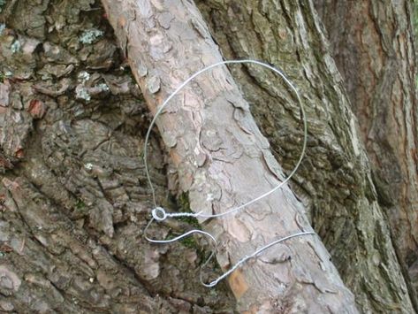 This snare set up is a classic. It’s just a wooden pole and a few feet of wire that gives... How To Make Traps, Snare Trap, Animal Traps, Outdoor Survival Gear, Survival Techniques, Living Off The Land, Wilderness Survival, Camping Fun, Outdoor Survival