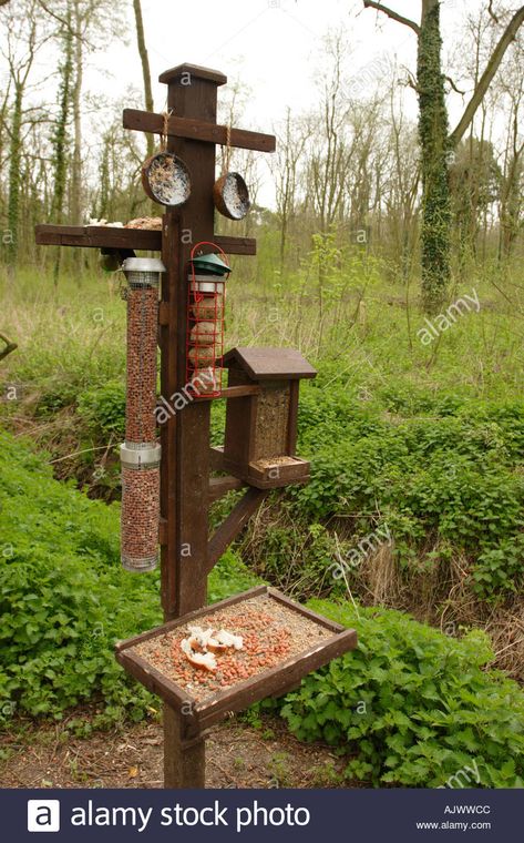 Bird Feeder Station, Bird Feeder Stands, Backyard Birds Sanctuary, Backyard Birds Feeders, Wood Bird Feeder, Bird Feeder Craft, Bird Feeder Poles, Bird Feeding Station, Squirrel Feeder