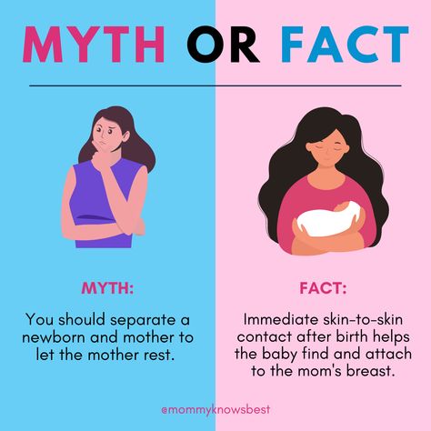 MYTH vs. FACT! Skin-to-skin contact is so important after your child is born. It not only calms and relaxes both mother and baby, but also regulates the baby's heart rate, breathing, and helps them better adapt to life outside the womb. 🥰 Breastfeeding Tattoo, Myth Vs Fact, Health Care Hospital, Helicopter Parent, Breastfeeding Positions, Outdoor Games For Kids, Healing Tattoo, Care Hospital, Child Psychology