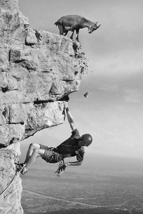 A Well Traveled Woman, Rock Climbers, Mountain Climbing, Extreme Sports, Rock Climbing, White Photography, Great Photos, Black And White Photography, Bouldering