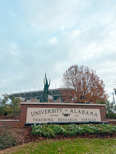 University Of Alabama Aesthetic, University Of Alabama Campus, Alabama Aesthetic, Univ Of Alabama, Alabama University, Campus Aesthetic, Plan Board, University Of South Alabama, Alabama College