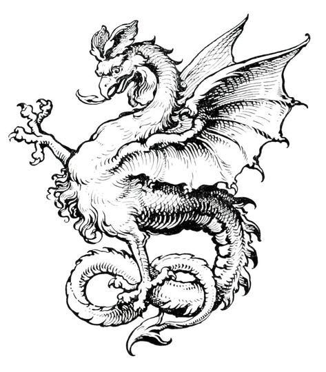 Dragon Medieval, Dragons Tattoo, Medieval Tattoo, Creature Fantasy, Medieval Dragon, Tattoo Vector, Mythical Creatures Fantasy, Dragon Images, Vintage Dragon