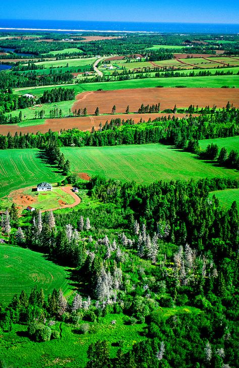 Canadian Travel Destinations, Pei Canada, Prince Edward Island Canada, Canadian Travel, Eastern Canada, Visit Canada, Prince Edward Island, Prince Edward, Scenic Beauty