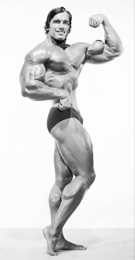 Arnold Schwarzenegger Muscle, Arnold Bodybuilding, Arnold Schwarzenegger Bodybuilding, Frank Zane, Schwarzenegger Bodybuilding, Gym Photography, Bodybuilding Pictures, Workout Splits, Anatomy Poses