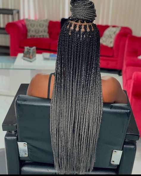 Chounèse on Instagram: “Ombré Hair color shadow. BOOK THIS STYLE UNDER: Check styleseat for availability for the month of “October & November ” 😀…” Grey Box Braids, Grey Hair Braids, Shadow Book, Ombre Braid, Top Braid, Blonde Box Braids, Marley Hair, African Hair Braiding Styles, Box Braids Hairstyles For Black Women