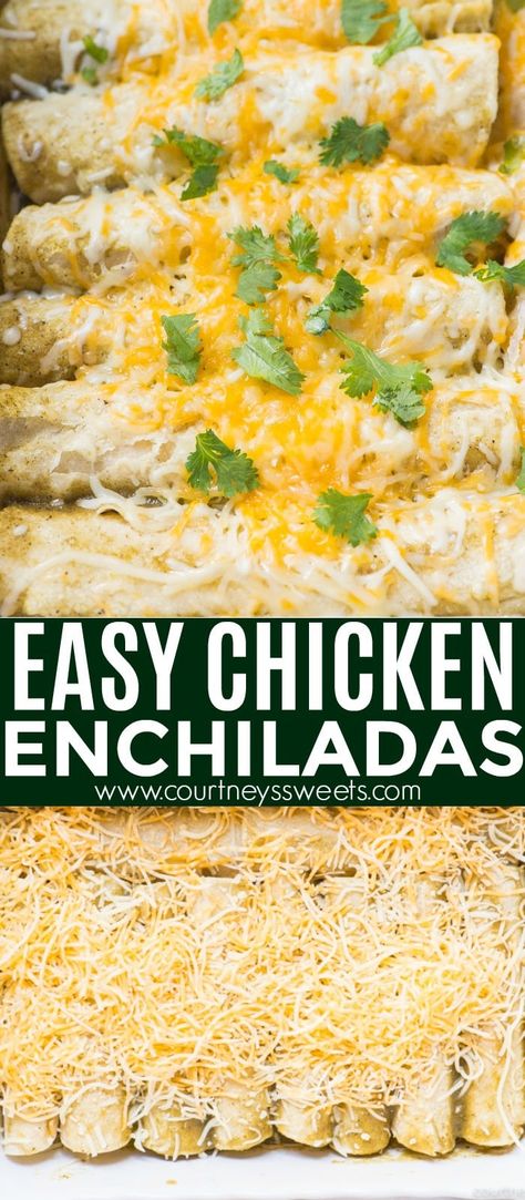 Costco Chicken Enchilada Recipe, Copycat Chicken Enchiladas, Quick Chicken Enchiladas Easy Dinners, Ground Chicken Enchiladas Easy, Oven Enchiladas Chicken, Quick Chicken Enchiladas, Quick And Easy Chicken Enchiladas, Kid Friendly Chicken Enchiladas, Chicken Enchiladas Meal Prep