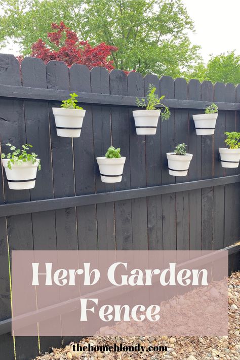 fence herb garden Hanging Herb Gardens On Fence, Over The Fence Herb Garden, Herb Fence Garden, Herbs On Fence, Fence Herb Garden Ideas, Fence Hanging Planters Diy, Hanging Pots On Fence, Hanging Planters On Fence, Garden Fence Planting Ideas