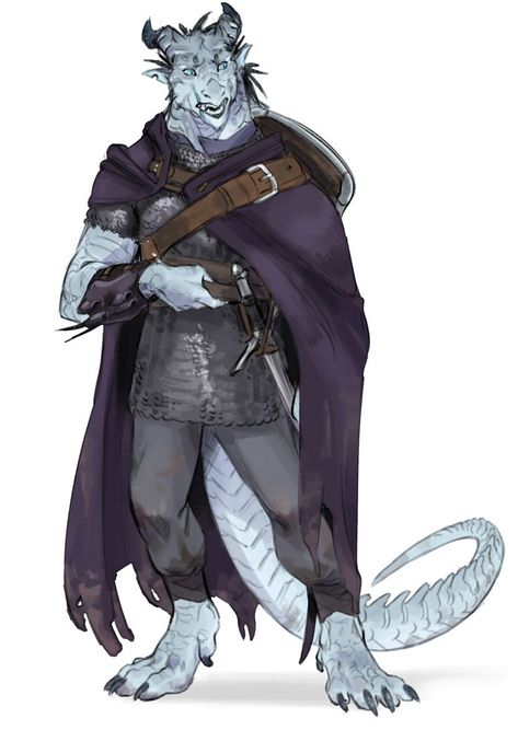 Silver Dragonborn, Dragonborn Character Design, Dragonborn Dnd, Tiefling Sorcerer, Humanoid Dragon, Dnd Dragonborn, Dragon Poses, Dnd Oc, Dragon Born