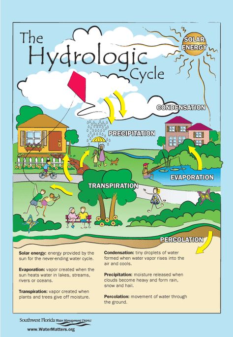 hydrologic_cycle_large.gif (GIF Image, 552 × 798 pixels) - Scaled (78%) Poster Education, Hydrological Cycle, Cycle Drawing, Hydrogen Production, Stem Steam, Organic Chemistry, Book Art Drawings, Life Cycles, Chemistry