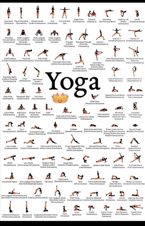 Poses For 2 People, Gratitude Yoga, Yoga Poses Chart, 2 People Yoga Poses, Hata Yoga, Yoga Poses For 2, Yoga Poses For Two, Yoga Facts, Yoga Poses Names