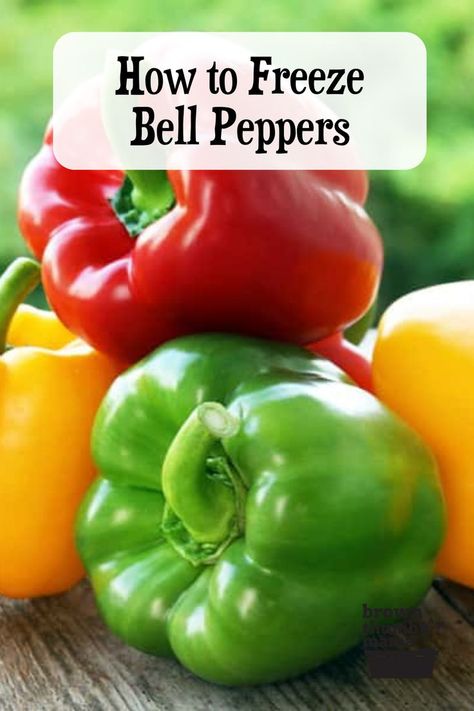 How to Freeze Bell Peppers Freeze Bell Peppers, How To Freeze Peppers, Freeze Peppers, Freezing Bell Peppers, Freezing Veggies, Freezing Peppers, Homestead Gardening, Freezing Fruit, Freezing Food