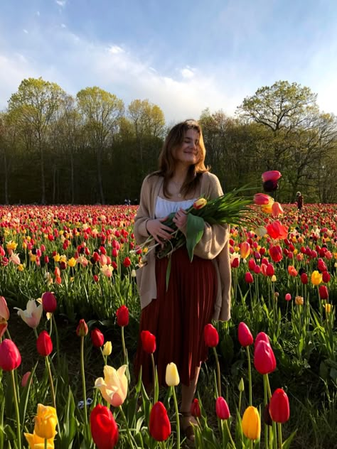 Tulip Farm Pictures, Flower Farm Pictures, Tulip Field Pictures, Tulip Garden Aesthetic, Tulip Garden Photoshoot, Tulip Festival Photoshoot, Tulip Farm Photoshoot, Tulip Field Photoshoot, Farm Poses