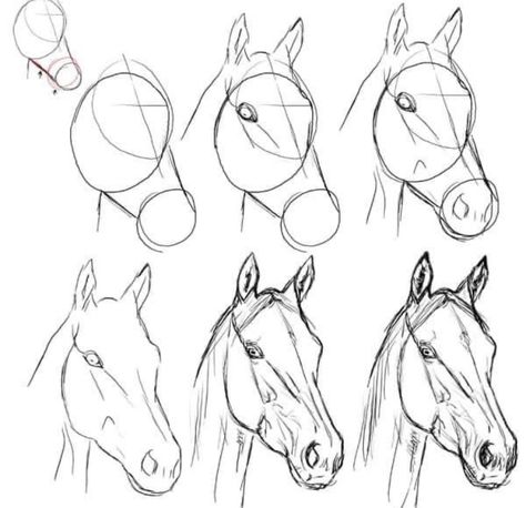 Horse Drawing Tutorial, Horse Art Drawing, Horse Sketch, Animal Drawings Sketches, Horse Drawing, Horse Drawings, Art Drawings Sketches Creative, Pencil Art Drawings, Animal Sketches