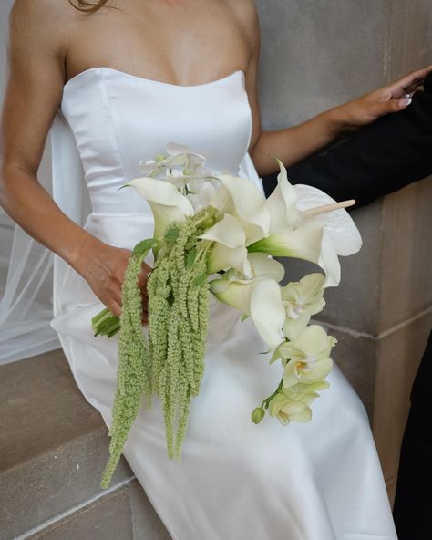 a flouncy, bouncy modern bouquet 😌 for a stunning couple’s city hall wedding! Photographer: @elizabethpishalphoto . . . . San Francisco Florist | Bridal bouquet | City hall wedding #underthefloralspell #sfflorist #flowerphotography #floralinspiration #bridalbouquet #myfloraldays #floralstyling #inspiredbynature #pursuepretty #floralstories #botanicalpickmeup #flowerpower #moodforfloral #allthingsbotanical #flowersmakemehappy #justbefloral #bayareaflorist #flowermagic #freakebana #tropica... Deep Green Wedding Flowers, Organic Bridesmaid Bouquet, Draped Wedding Bouquet, Organic Bouquet Wedding, Snapdragon Bridesmaid Bouquet, White Green And Gold Bridal Bouquet, Unique White Flowers, 2025 Wedding Bouquet, Trailing Bouquet Wedding