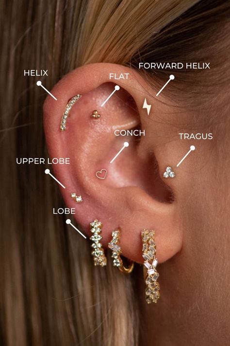 A nice overview of different piercing placements on an ear. You see where a lobe, upper lobe, helix, forward helix, flat, conch and tragus piercing is located. Piercing Diagram Ear, Peircings Women Names, Took Peircings, Meet The Piercings, Different Ear Piercings Chart Names, Ear Piercings On Small Ears, Ear Piercing Labels, Piercing Guide Ear, Piercing Types Ear