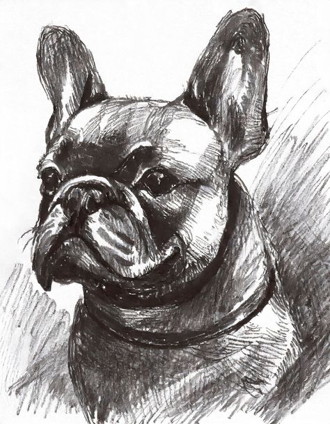 Original Charcoal Drawing of a French Bulldog French Bulldog Sketch, French Bulldog Drawing, Bulldog Drawing, French Bulldog Art, Bulldog Print, Drawing Animals, Paw Pattern, Bulldog Art, Charcoal Drawing