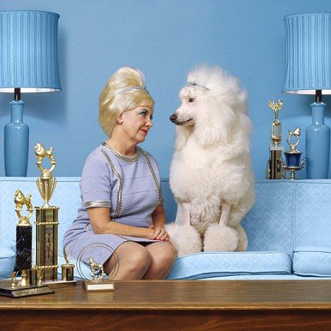 Woman and poodle Best In Show, White