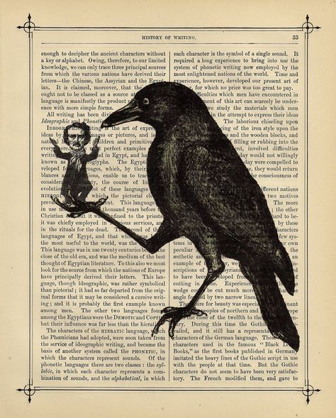 Are We Scared Yet? Edgar Allan Poe Art, Crows Artwork, Skulls Art, Gothic Poster, Skull Art Print, Halloween Skulls, Arte Peculiar, Raven Art, Dictionary Art Print