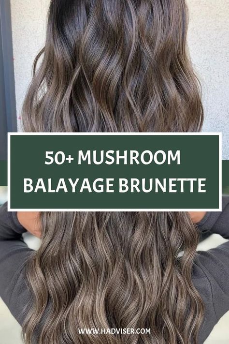 Caramel Mushroom Balayage, Dark Brown To Mushroom Brown Hair, Mushroom Brown Vs Ash Brown Hair Color, Mushroom Hair Highlights, Medium Ash Balayage, Ash Brown Vs Mushroom Brown, Mushroom Ombre Hair, Mushroom Brown Balayage With Money Piece, Mushroom Brown Gray Blending