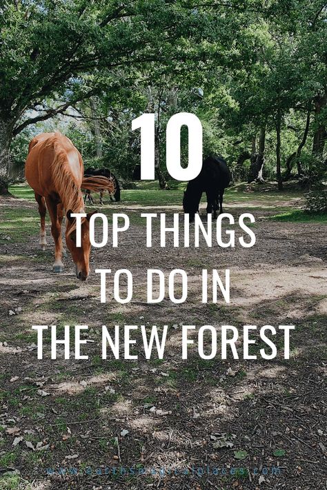 all the best things to do in the New Forest National Park (Hampshire England). Read the best walks, and discover the best places to visit in the New Forest such as Brockenhurst, Burley, and Lymington. Of course, you can’t forget the wild horses to #NewForest #Travel #England The New Forest England, New Forest National Park, New Forest National Park England, Brockenhurst New Forest, New Forest Hampshire, Burley New Forest, New Forest England, Europe Holiday, Hampshire England