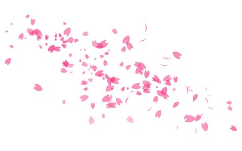 Sakura Petals Tattoo, Sakura Petals, Sakura Doodle Flower, Anime Sakura Background, Sakura Petals Falling, Sakura Flower Wallpaper Anime Art, Sakura Illustration Flower, Gold Dragon, Simple Wallpapers