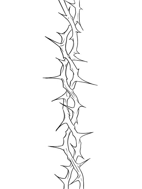 Thorn Drawing Reference, Barb Wire Tattoo Stencil, Barb Wire Spine Tattoo, Bob Wire Tattoos Around Arm, Barbwire Drawings, Thorn Tattoo Design, Thorn Drawing, Barbed Wire Tattoo Design, Thorns Tattoo Design