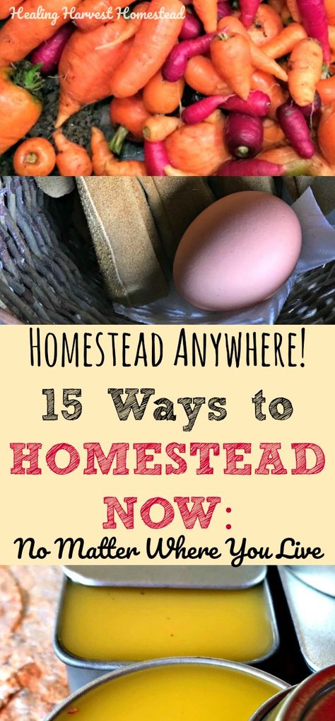 Permaculture, Homesteading Must Haves, Homestead Must Haves, Homesteading Essentials, Homestead 101, Homestead Tools, Mountain Homestead, Hobby Farming, Farming Life