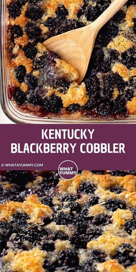 Kentucky Blackberry Cobbler, Blackberry Recipes Easy, Blackberry Dessert Recipes, Easy Blackberry Cobbler, Berry Cobbler Recipes, Blackberry Dessert, Blackberry Cobbler Recipe, Cobbler Recipes Easy, Blackberry Recipes