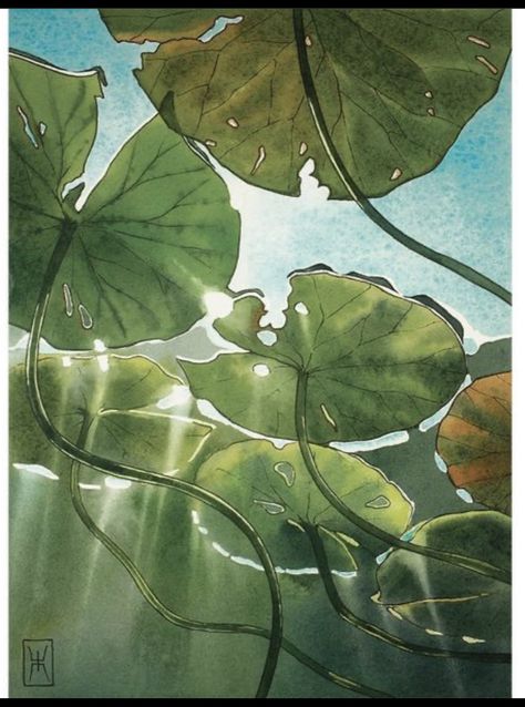 Japanese Plants Drawing, Watercolor Gouache, 수채화 그림, Watercolor Art Lessons, The Choice, Art Inspiration Painting, Painting Art Projects, Water Lilies, الرسومات اللطيفة