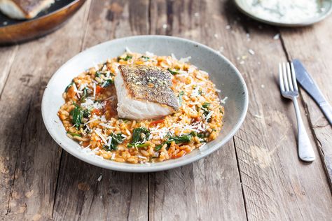 Crispy Pan-fried Fish with Spinach and Tomato Risotto recipe / Riverford Tomato Risotto Recipes, Pan Fried Trout, Pan Fried Fish, Tomato Risotto, Fish Fillets, Risotto Rice, Risotto Recipe, Risotto Recipes, Fish Fillet