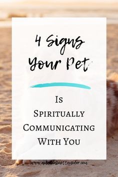 Dog Prayer, Dog Communication, Best Friend Relationship, Puppy Quotes, Miss My Dog, Schnauzer Art, Animal Communication, Cat Loss, Happy Images