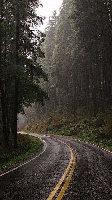 Muka Lelaki, Dark Naturalism, Dark Forest Aesthetic, Rainy Day Aesthetic, Image Nature, Dark Nature Aesthetic, Landscape Photography Nature, Pretty Landscapes, Alam Yang Indah