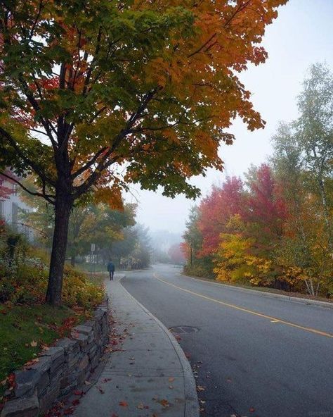 Spring Landscapes, Mont Tremblant, Winter Blanket, Mecca Islam, Autumn Foliage, Quebec Canada, Autumn Halloween, Mecca, Nature's Beauty