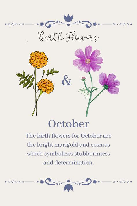 October Birth Month Symbols, Birth Flower Of October, Oct Flower Tattoo, Marigold Tattoo Meaning, Flowers And What They Symbolize, Flower For October Birth Tattoo, Cosmo Marigold Flower Tattoo, October November Birth Flower Tattoo, Birth Month Flower October