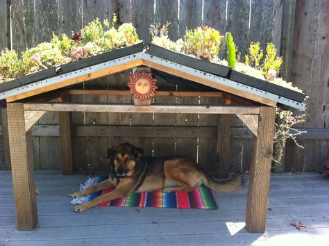 Outdoor Dog Area, Backyard Dog Area, Dog Potty Area, Dog Friendly Backyard, Dog Backyard, Diy Chat, Indoor Dog Kennel, Diy Dog Kennel, Dog House Plans