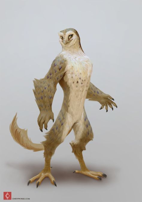 Bird People, Color Test, Snowy Owl, Fantasy Dragon, Creature Design, Creature Art, Pretty Art, Fantasy Creatures, Character Design Inspiration