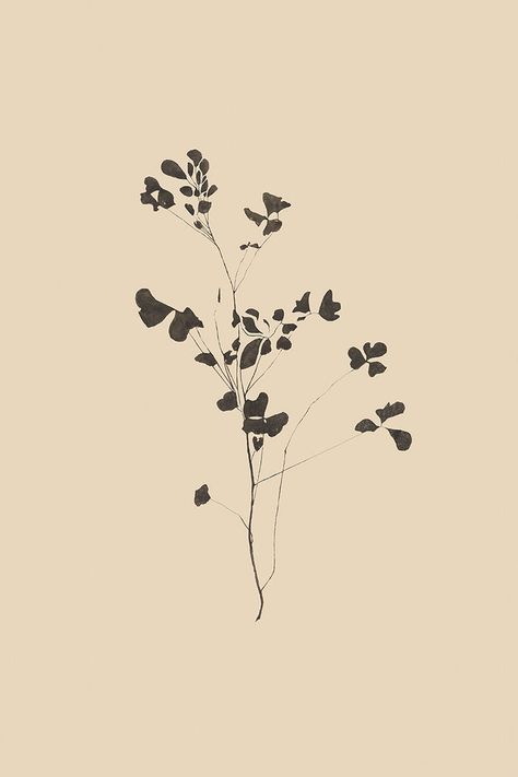 Black And White Clip Art Vintage, Botanical Screen Print, Simple Botanical Art, Simple Print Making Designs, Vintage Botanical Tattoo, Simple Flower Drawings, Botanical Outline, Juniper Print Shop, Plant Drawings