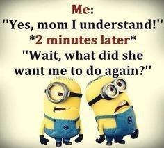 Minion Sayings, Minion Stuff, Minion Humour, Minion Memes, Funny Minion Pictures, Funny Minion Memes, Minion Jokes, Funny Disney Memes, Funny Disney Jokes