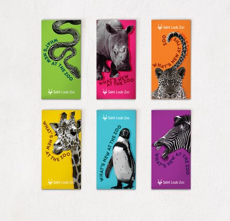 Zoo Poster Design Graphics, Zoo Brochure Design, Animal Graphic Design Poster, Zoo Design Graphics, Zoo Graphic Design, Zoo Advertising, Zoo Brochure, Zoo Branding, Zoo Poster Design