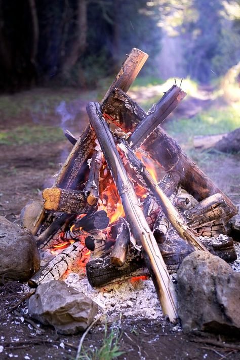 Campfire Centerpiece, Campfire Diy, Fake Campfire, Infinity Photography, Fake Fire, Red Christmas Lights, Summer Camp Themes, Fake Fireplace, Camping Theme Party