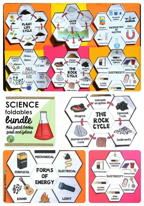 Grade 6 Science, Science Interactive Notebooks, Science Foldables, Science Materials, Science Penguin, Science Anchor Charts, 7th Grade Science, Science Notebook, Interactive Science