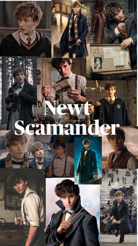 Harry Potter Beasts, Harry Potter Wallpaper Backgrounds, Newt Scamander, Eddie Redmayne, Fantastic Beasts And Where, Harry Potter Wallpaper, Mischief Managed, Newt, Harry Potter Fantastic Beasts